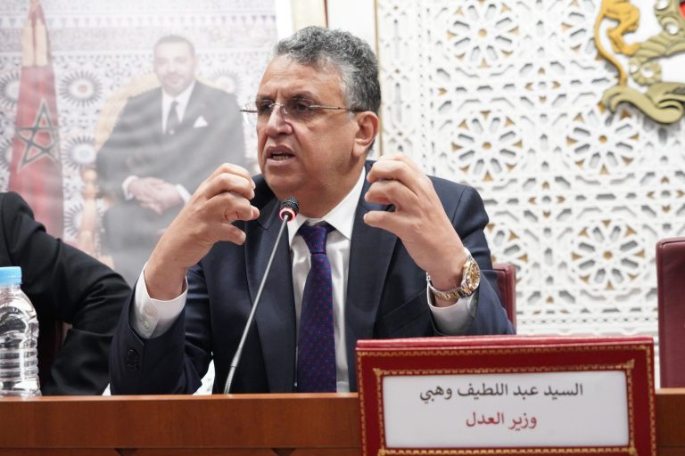 وزير العدل: الذكاء الاصطناعي يهدد مستقبل المحاماة والتوثيق والقضاء