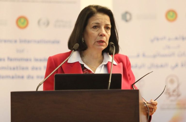 السغروشني: تفعيل الطابع الرسمي للأمازيغية يتطلب تطوير الترجمة والصياغة القانونية