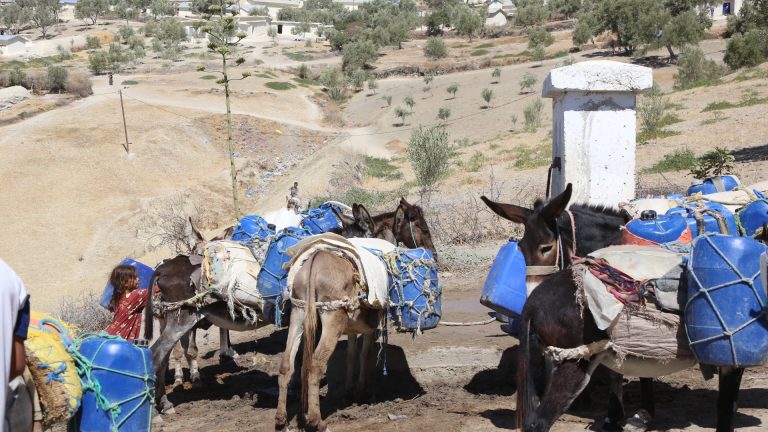 منع مراسل “العمق” من تغطية أزمة الماء بضواحي تاونات.. الشطط في السلطة يطفح فوق العطش (فيديو)