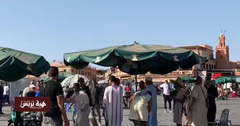 سلطات مراكش توقف نشاط حلقة لروّاض الثعابين بساحة جامع الفنا